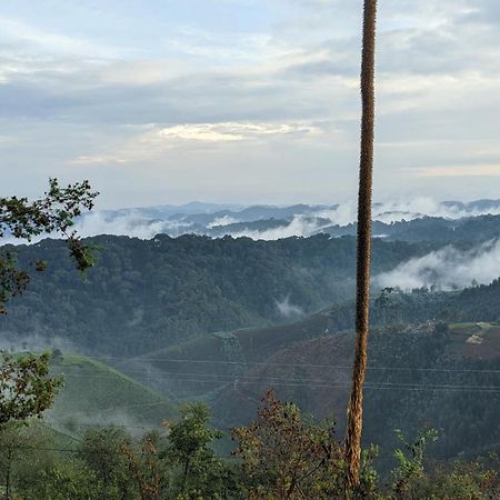 Nyungwe Village Kitabi Екстериор снимка