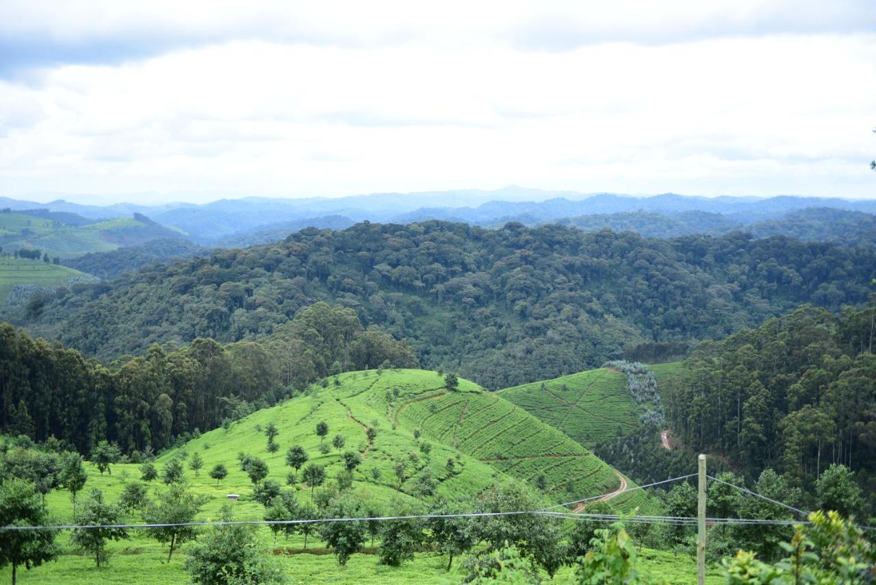 Nyungwe Village Kitabi Екстериор снимка