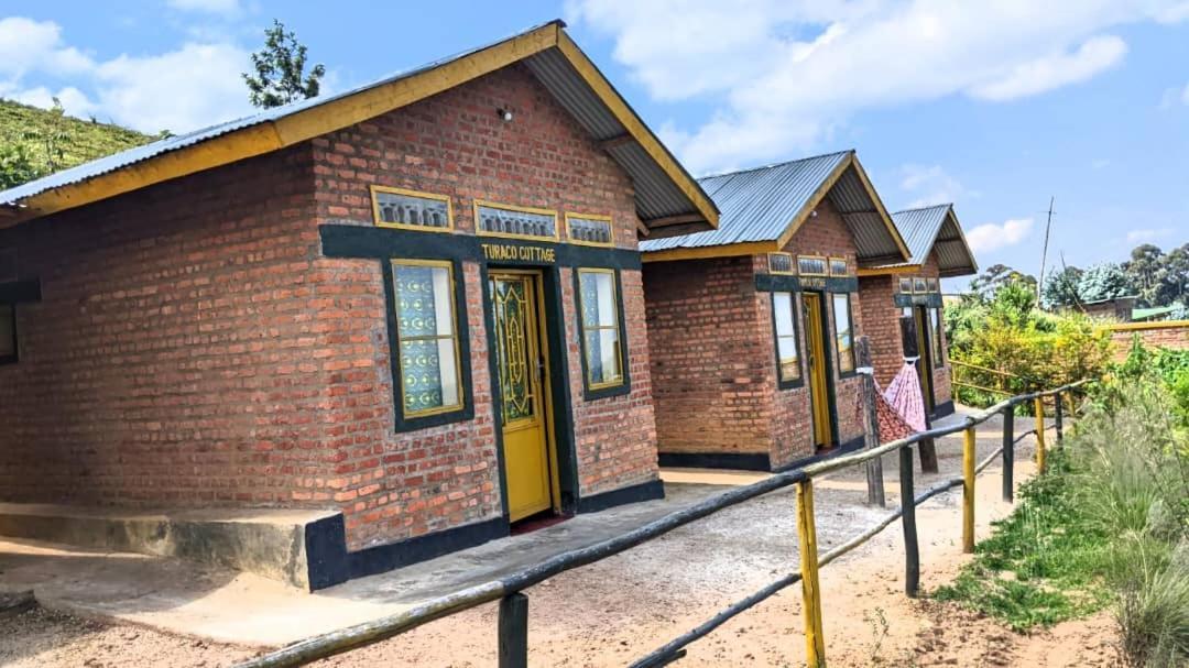 Nyungwe Village Kitabi Екстериор снимка