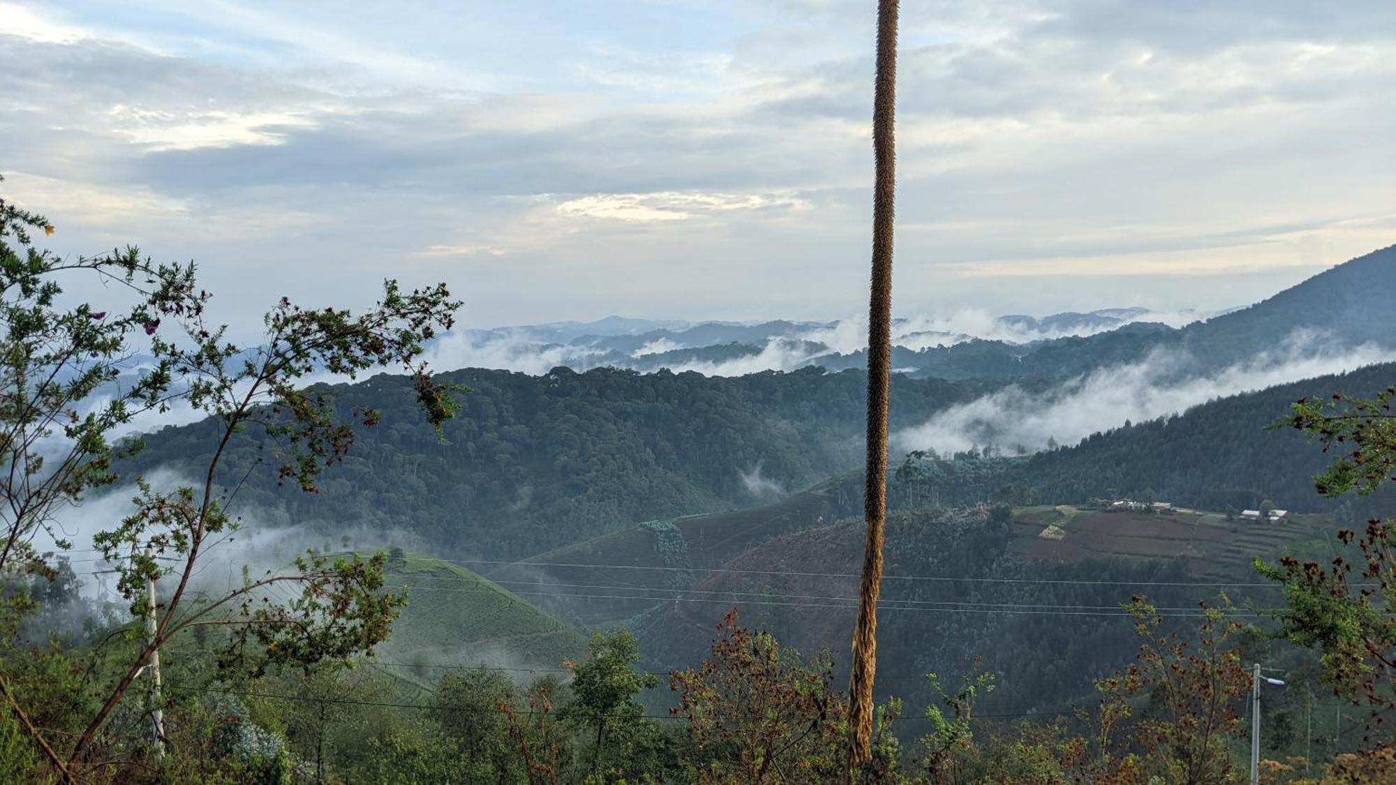Nyungwe Village Kitabi Екстериор снимка