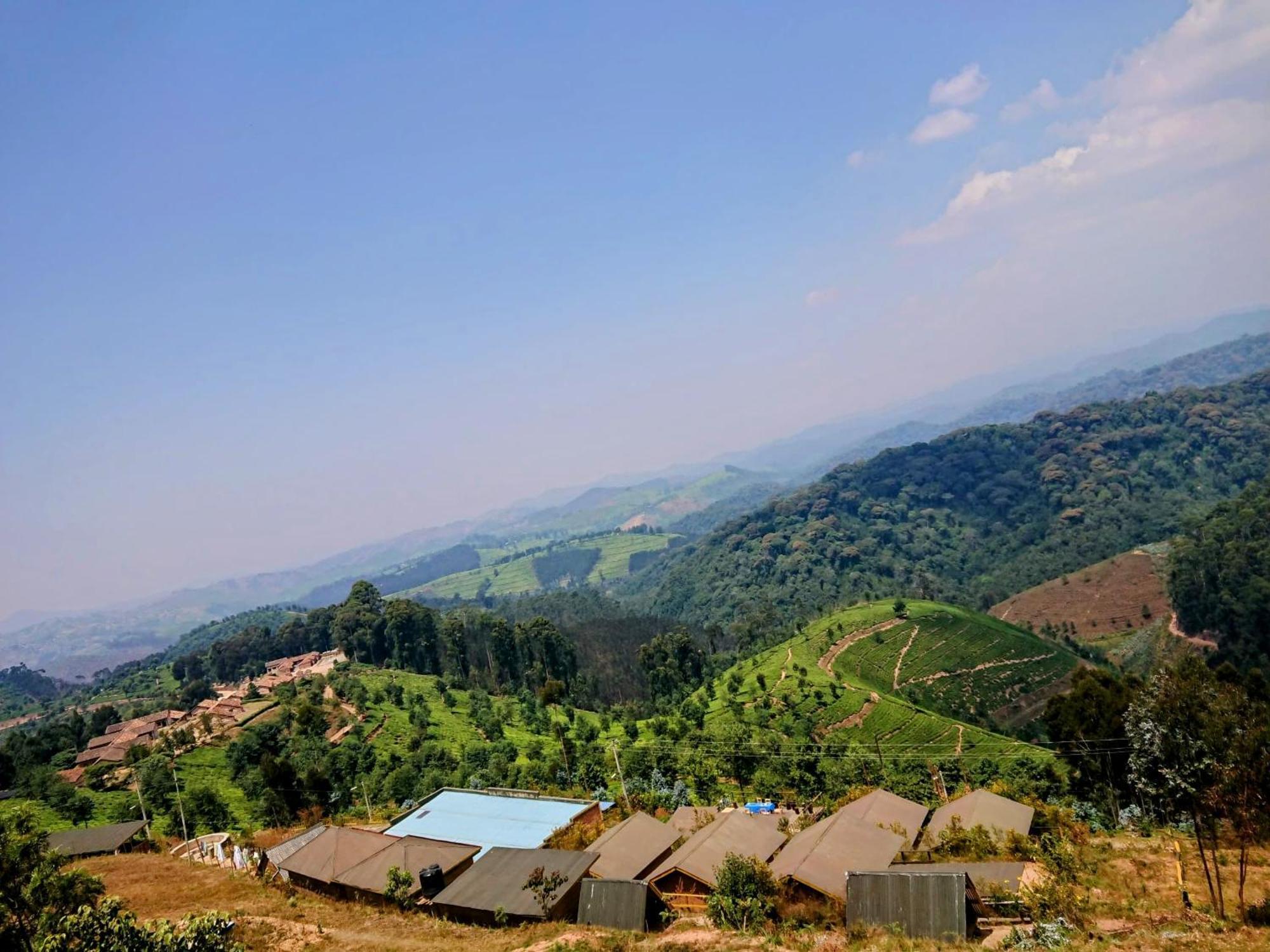 Nyungwe Village Kitabi Екстериор снимка