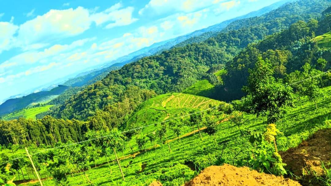 Nyungwe Village Kitabi Екстериор снимка